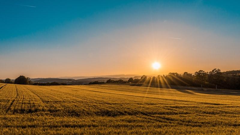 Mastering Sustainable Farm Management